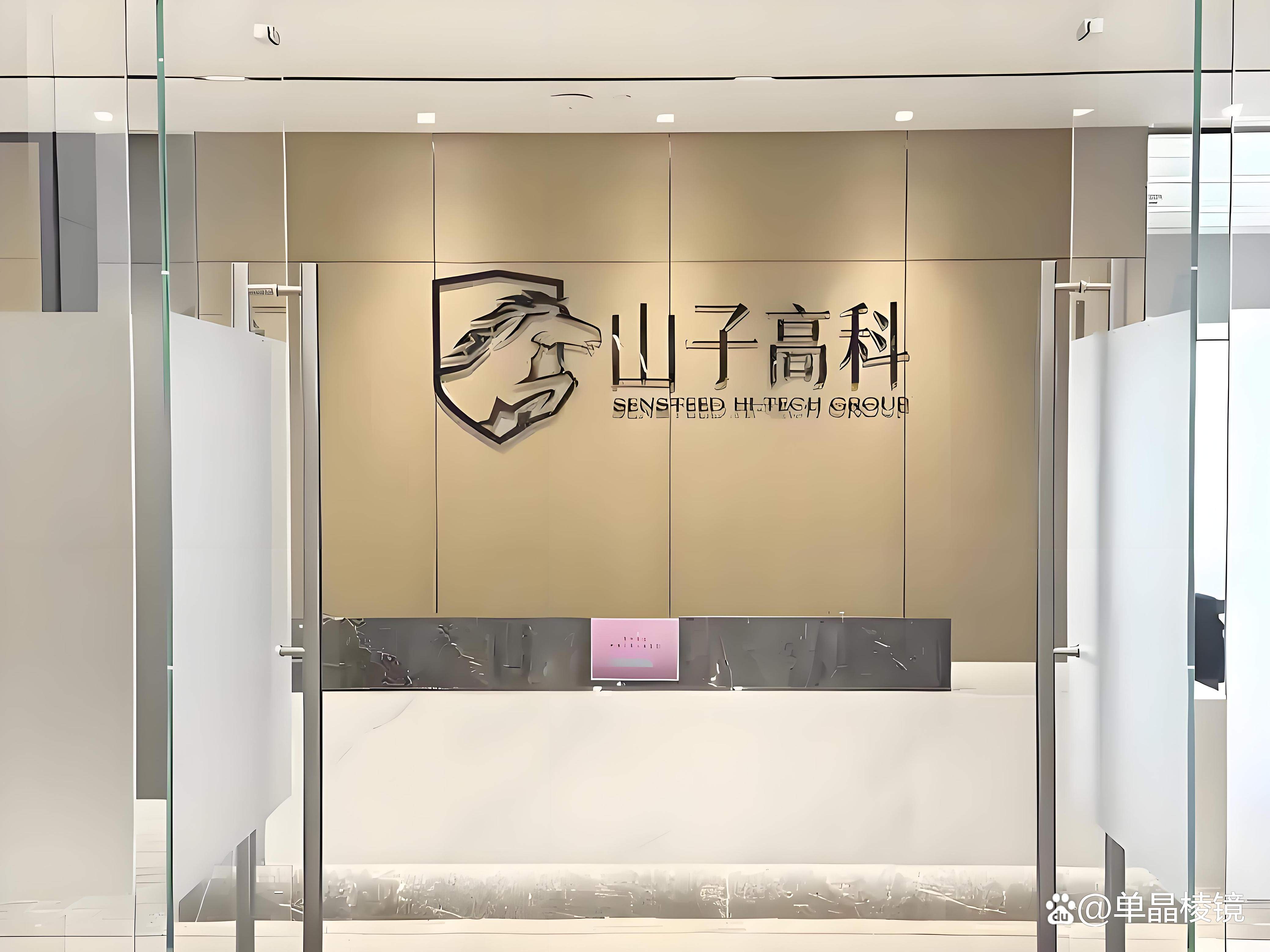 山子高科收警示函:财务数据失实，数亿元回购成“空头支票”