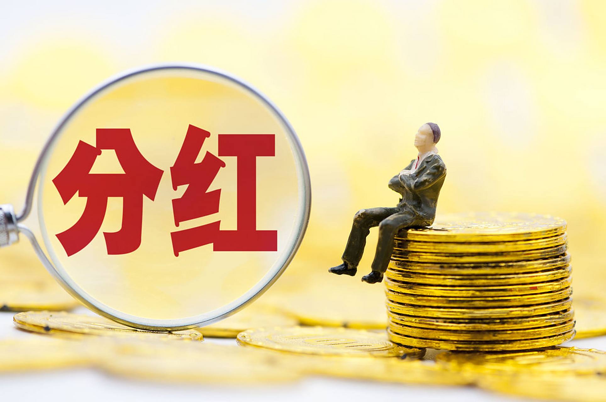 414家公司、超5600亿元!沪市公司中期分红家数、总额双创历史新高