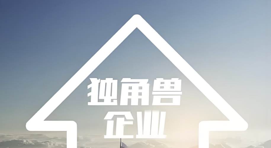 独角兽企业缘何争相奔赴资本市场