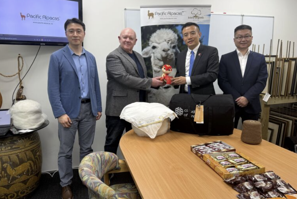 从“9平方米”到“120平方米”