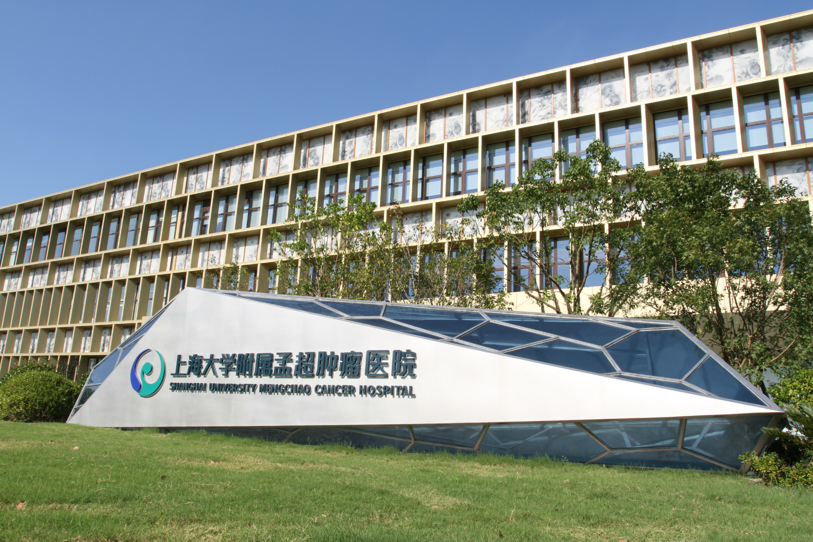 装甲CAR-T亮相!我国科研团队攻克实体瘤治疗瓶颈，患者生存期显著延长