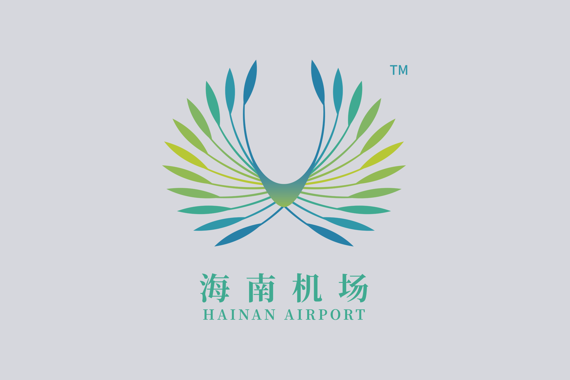 更为广阔的天空——海南机场以流量织起生态网｜我在“十四五”这五年